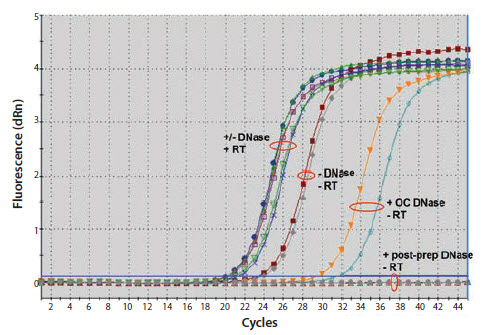 comparison-of-on-column-dnase Comparison of on-column DNase digestion (OC) with post-preparation DNase digestion