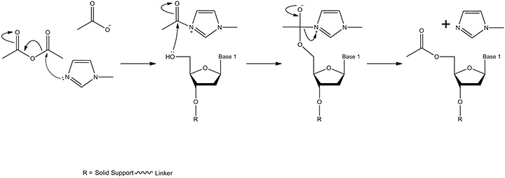 A diagram depicting a chemical reaction sequence with three steps, showing the interaction of a reactant with solid support and linker. The process includes the addition of a reagent, leading to the formation of new compounds and the release of a byproduct, with key components labeled as "Base 1" and "R." A diagram depicting a chemical reaction sequence with three steps, showing the interaction of a reactant with solid support and linker. The process includes the addition of a reagent, leading to the formation of new compounds and the release of a byproduct, with key components labeled as "Base 1" and "R."