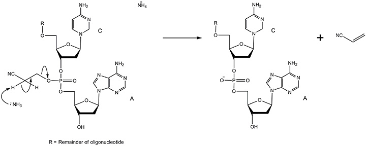 A diagram illustrating a chemical reaction involving two reactants labeled C and A, with a solid support and linker. The process shows the transformation of the reactants, resulting in the release of a byproduct, with "R" indicating the remainder of an oligonucleotide. Key components include amino groups and a vinyl group. A diagram illustrating a chemical reaction involving two reactants labeled C and A, with a solid support and linker. The process shows the transformation of the reactants, resulting in the release of a byproduct, with "R" indicating the remainder of an oligonucleotide. Key components include amino groups and a vinyl group.
