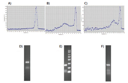 evaluation-of-melt-curves Evaluation of melt curves