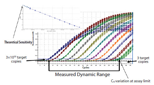 example-of-high-reproducibility An example of high reproducibility and wide range of detection using a serial dilution of linearized plasmid