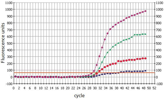 LNA Dual-Labeled Probes discriminate better than DNA Dual-Labeled Probes in SNP genotyping analysis LNA Dual-Labeled Probes discriminate better than DNA Dual-Labeled Probes in SNP genotyping analysis