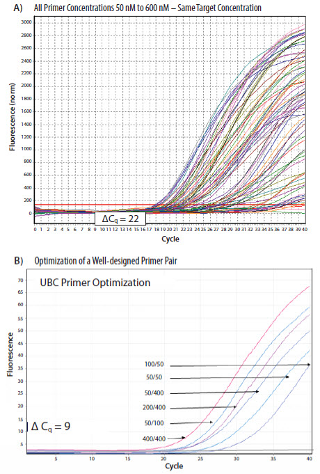 pcr-primers-concentration Results from a PCR primers concentration optimization from a SYBR Green I dye assay