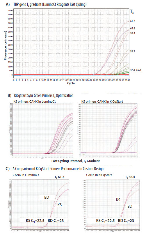 primer-optimization Primer optimization using Ta.