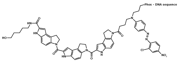 Structure of MGB:EDQ Chemical structure of minor groove binder with Eclipse Dark Quencher (MGB:EDQ)