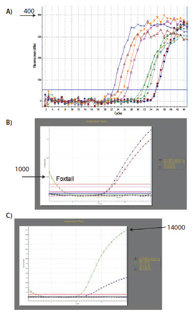 The analysis that was performed and demonstrated The analysis that was performed and demonstrated