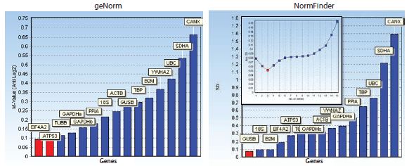 Bar diagrams showing stability measures Bar diagrams showing stability measures
