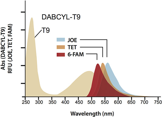DABCYL-T9的吸收光谱 DABCYL-T9的吸收光谱