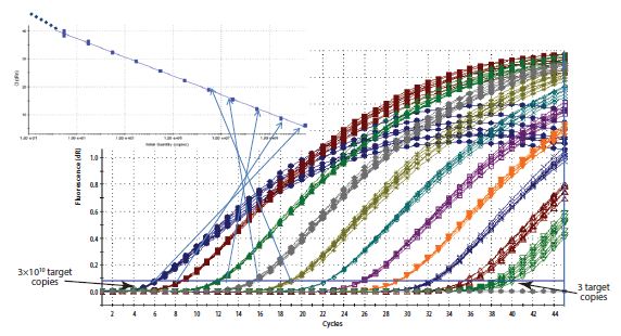 Construction of a Standard Curve. Construction of a Standard Curve.
