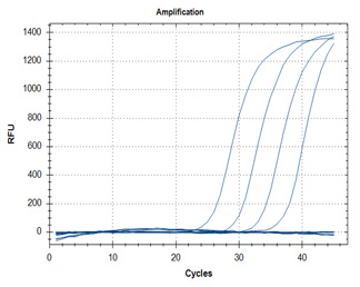 RT-qPCR – Quantitative Reverse Transcription PCR A: N1 Assay