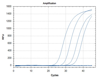 RT-qPCR – Quantitative Reverse Transcription PCR SARS-CoV-2 detection assays utilizing the KAPA PROBE FAST One-Step qRT-PCR Master Mix (2X) Universal Kit (Cat. No. KK4752) for primer targets N1 (graph A) and N2 (graph B).