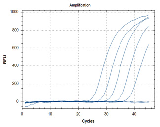 RT-qPCR – Quantitative Reverse Transcription PCR