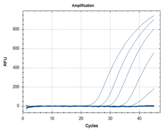 RT-qPCR – Quantitative Reverse Transcription PCR SARS-CoV-2 detection assays utilizing the ABScript II One Step RT-qPCR Probe Kit (Cat. No. RK20407) for primer targets N1 (graph A) and N2 (graph B).