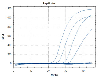 RT-qPCR – Quantitative Reverse Transcription PCR A: N1 Assay