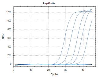 RT-qPCR – Quantitative Reverse Transcription PCR A: N1 Assay