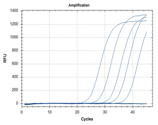 RT-qPCR – Quantitative Reverse Transcription PCR SARS-CoV-2 detection assays utilizing the KiCqStart® One-Step Probe RT-qPCR ReadyMix™ (Cat. No. KCQS07) for primer targets N1 (graph A) and N2 (graph B).