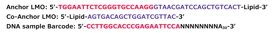 DNA Sequences MULTI-seq DNA sequences of Anchor, Co-Anchor and DNA sample barcodes.