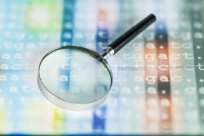 DNA Sequencing A magnifying glass sitting on top of a backlit display of genetic code showing ATCG genetic base code lettering