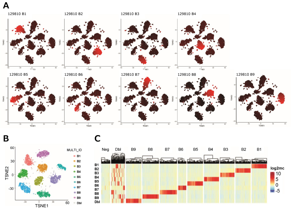 MULTI-seq demultiplexing and QC of a scRNA-seq experiment using 9 different barcodes. scRNA-seq experimental data using MULTI-seq and 9 different barcodes.