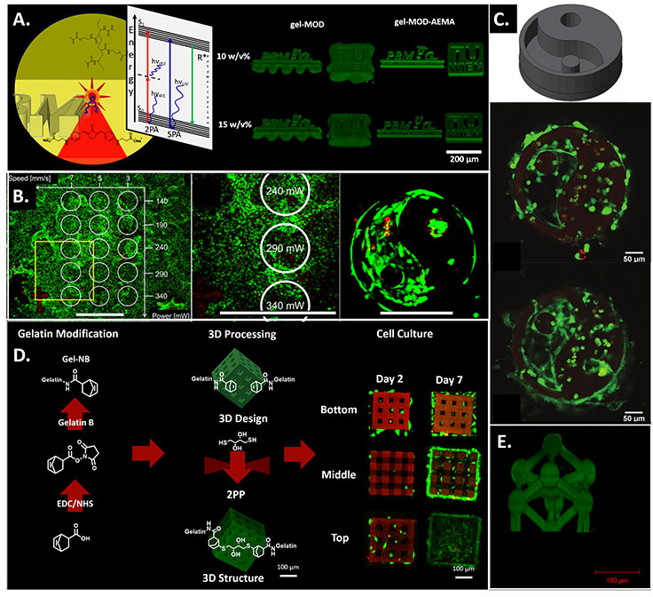 Two-photon and single-photon polymerization principle Two-photon and single-photon polymerization principle