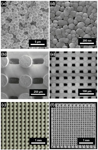 SEM micrograph of the model colloidal link SEM micrograph of the model colloidal ink