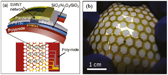 Schematic and (b) Photograph of stretchable pressure sensor using IsoNanotubes-S TM for the backplane TFT. 14 (Figure was adapted from reference 14) Schematic and (b) Photograph of stretchable pressure sensor using IsoNanotubes-S TM for the backplane TFT. 14 (Figure was adapted from reference 14)