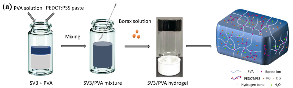 Illustration of SV3/PVA hydrogel preparation. This illustration visually depicts the step-by-step preparation of SV3/PVA hydrogel. In Step 1, a PVA solution and PEDOT:PSS paste are added to a vial and mixed to create a homogeneous mixture. Step 2 involves adding a borax solution to the vial, which leads to the formation of the SV3/PVA hydrogel. The illustration provides a clear and informative representation of the hydrogel preparation process, highlighting the essential steps involved in creating the homogeneous hydrogel material.