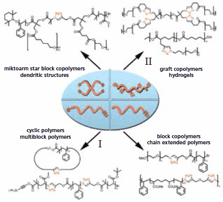 Examples of macromolecular architectures Examples of macromolecular architectures
