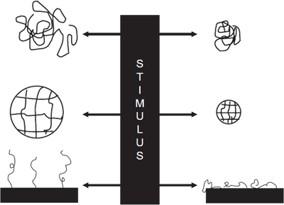 Stimuli-responsive Polymer Forms Stimuli-responsive Polymer Forms