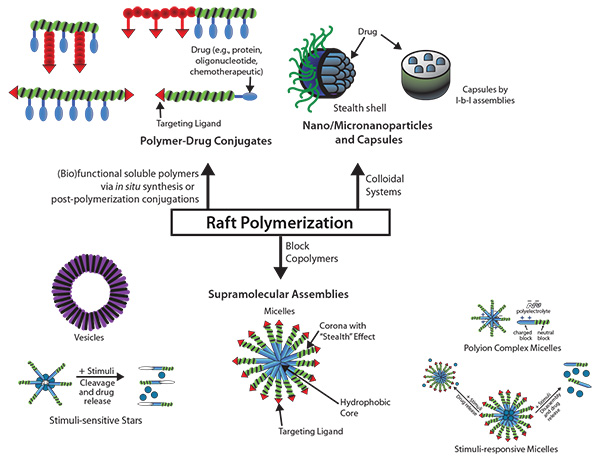 Examples of Controlled Drug Release Systems Generated by RAFT-Polymers Examples of Controlled Drug Release Systems Generated by RAFT-Polymers