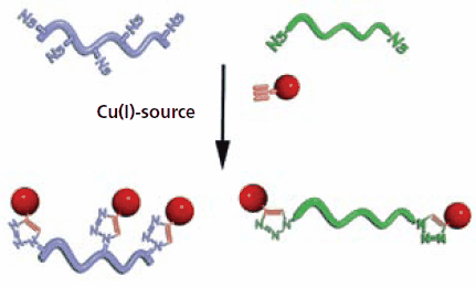 Schematic illustration of the functionalization Schematic illustration of the functionalization