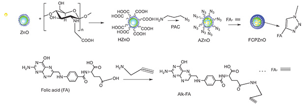 Schematic representation of the approach used to functionalize folic Schematic representation of the approach used to functionalize folic