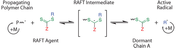 Simplified mechanism of a RAFT polymerization. Simplified mechanism of a RAFT polymerization.