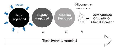 Steps of Polymers Biofate The biofate of RESOMER® polymers includes several steps: (1) Wetting and water diffusion, (2) Decrease of the molecular weight = Polymer degradation (3) Mass loss = Polymer erosion and (4) Renal excretion or metabolism to carbon dioxide and water.