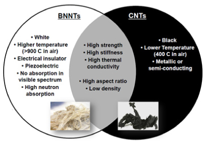 BNNTs and CNTs Venn Diagram 比较BNNT和CNT的主要性能