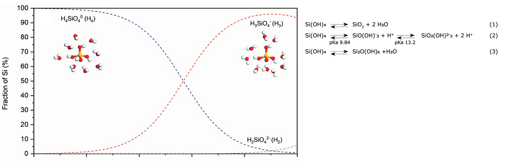 Acid-basic equilibria of silica species in aqueous solution Acid-basic equilibria of silica species in aqueous solution