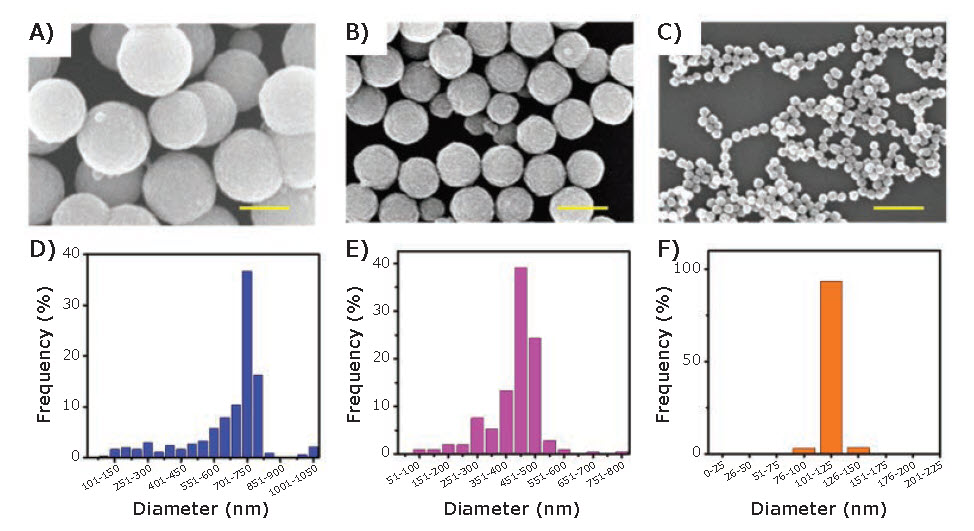 SEM images and size distributions of IONPs SEM images and size distributions