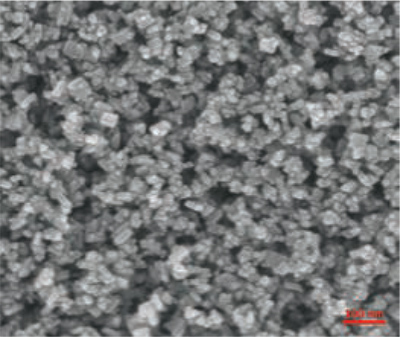 paste-based SEM image