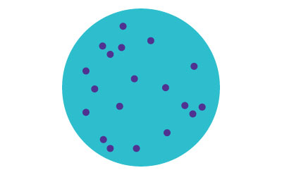Bacterial inoculation and growth techniques - Petri Dish with Colonies A petri dish with scattered bacterial colonies.