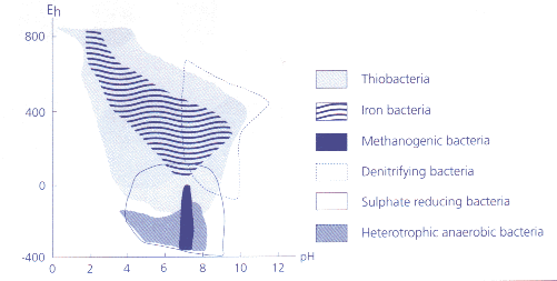 Redox Potential 氧化还原电位、pH和微生物生长之间的关系