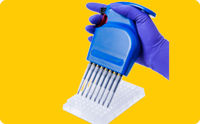 Sample preparation using GDS PickPen® immunomagnetic separation (IMS) device for use with Assurance® GDS PCR system Sample preparation using GDS PickPen® immunomagnetic separation (IMS) device for use with Assurance® GDS PCR system