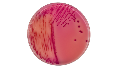 Chromocult® Rambach agar media Chromocult® Rambach agar media for Salmonella detection