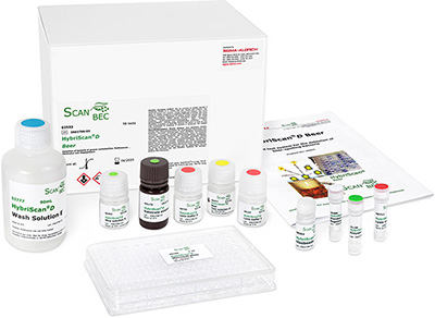 HybriScan®微生物检测和鉴定试剂盒 HybriScan®微生物检测和鉴定试剂盒