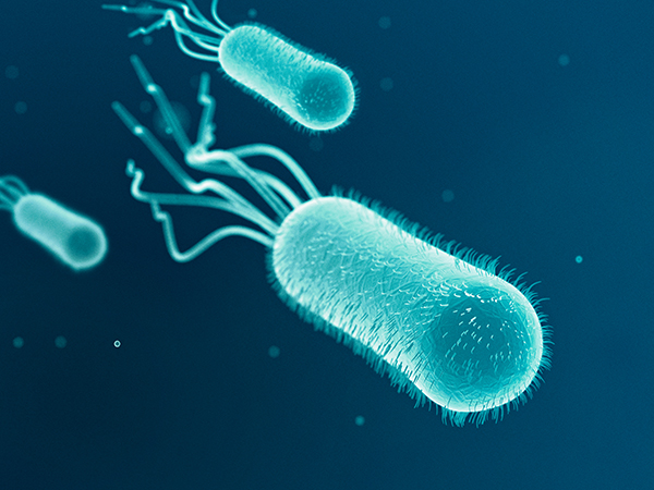 Escherichia Coli Detection and Analysis for Food and Beverage Safety Scanning electron micrograph of Escherichia coli