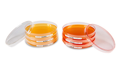 Non-irradiated settle plates for microbial air monitoring.