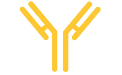 Monoclonal Antibody (mAb) monoclonal antibody (mAb)