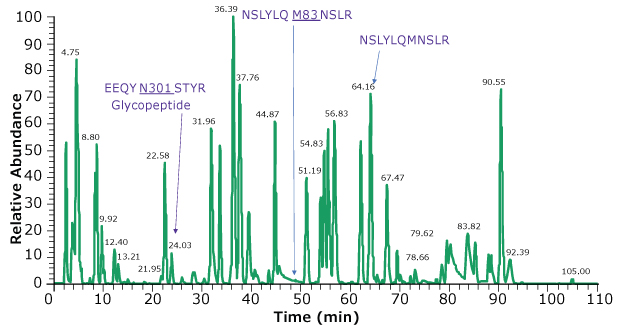 Base peak chromatogram of trypsin digested adalimumab peptides Chromatographic profile of peptides obtained on trypsin digestion of adalimumab using HPLC for peptide analysis