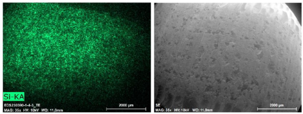 SEM-EDX Tablets SEM-EDX image of the tablets showed a highly homogeneous distribution of silica particles.