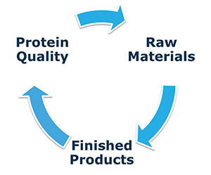 Raw Material Risk Mitigation Strategies Approach to study trace element impurities; single components, culture medium and the impact on protein quality.