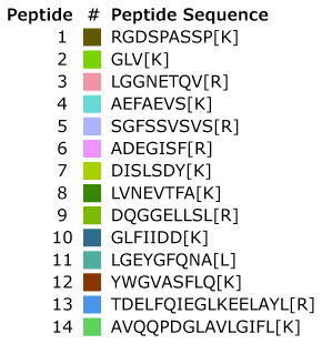 MSRT1 peptide sequences. Labelled amino acids in brackets. Table with MSRT1 peptide sequences. Labelled amino acids in brackets.
